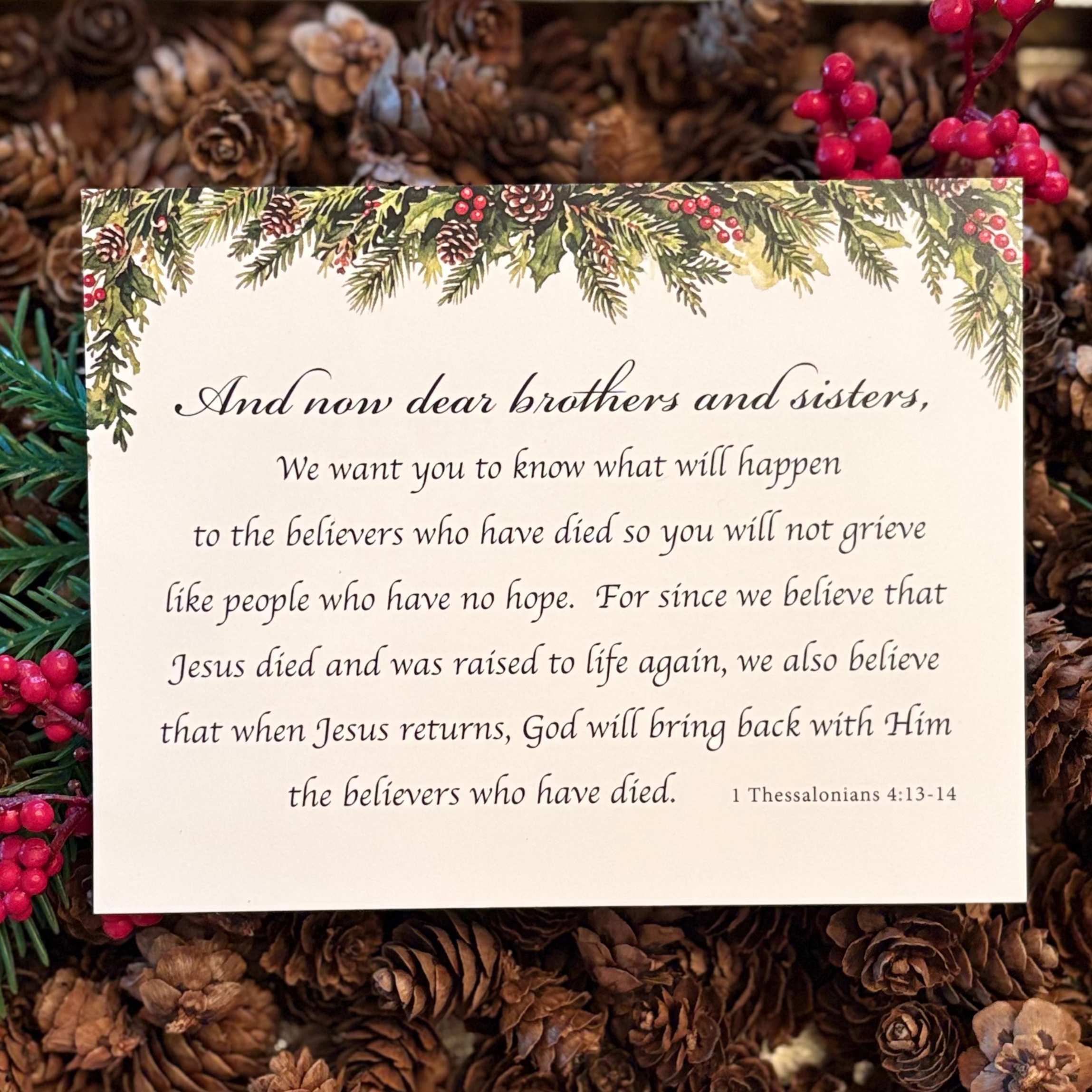 Scripture Note Card Pack in Christmas/Holiday Themes